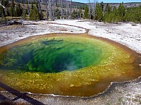 Yellowstone Morning glory pool (2).JPG